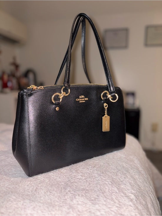Coach Handbags - NEW Coach Etta Carryall